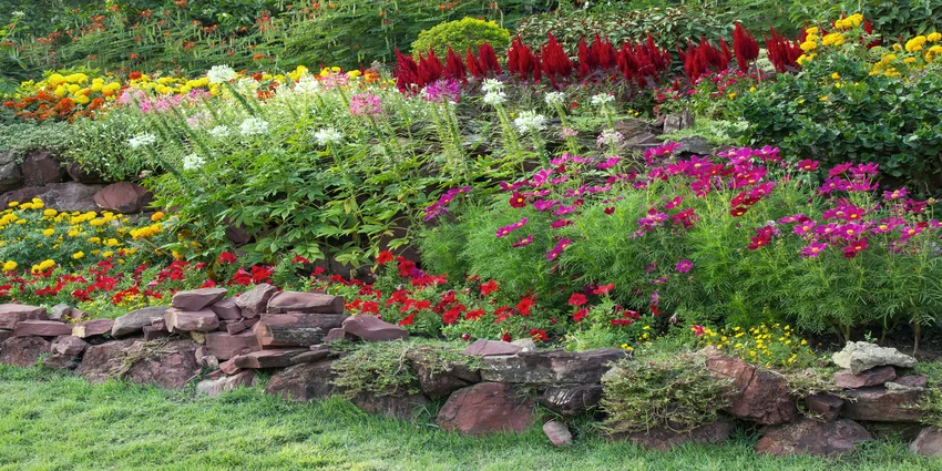 temoignage travaux de jardin en cote d'ivoire