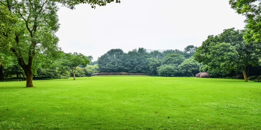 temoignage travaux de jardin abidjan ci