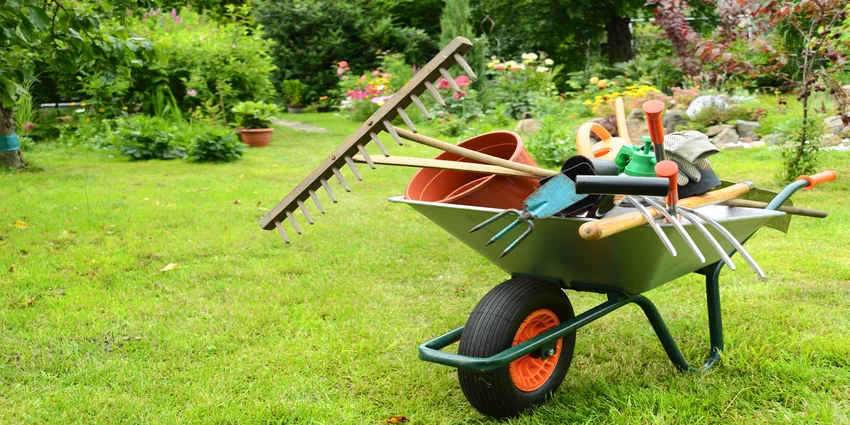 entretenir son jardin en été