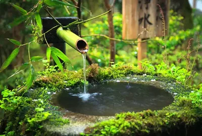 société de création scène d'eau Abidjan