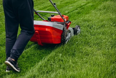 société d'enlèvement d'herbe Abidjan