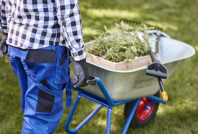 société d'enlèvement d'herbe