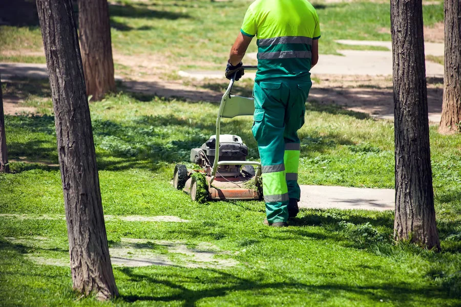 societe de jardinage pour professionels abidjan cote d'ivoire